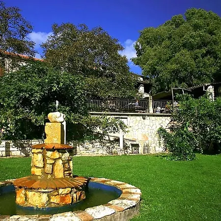 Vila Gigi Tinjan